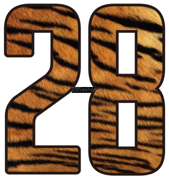 28numbers